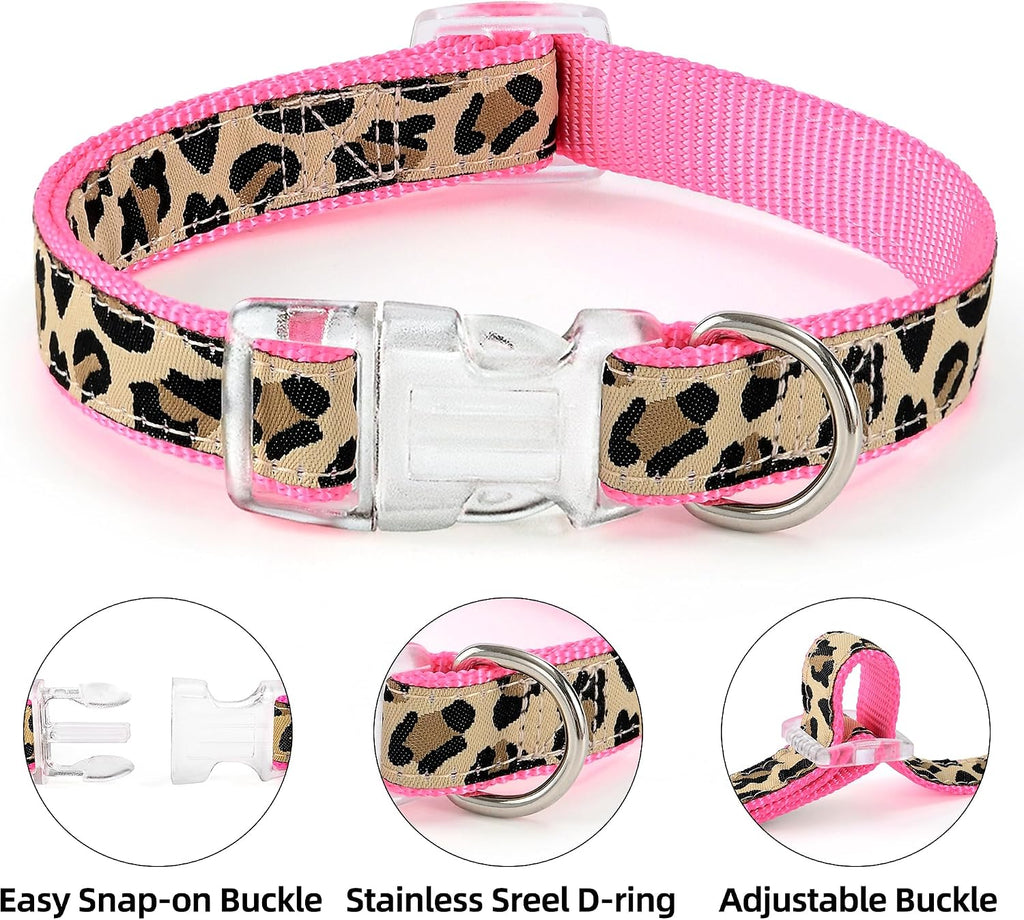 Small dog wearing pink leopard print walking harness