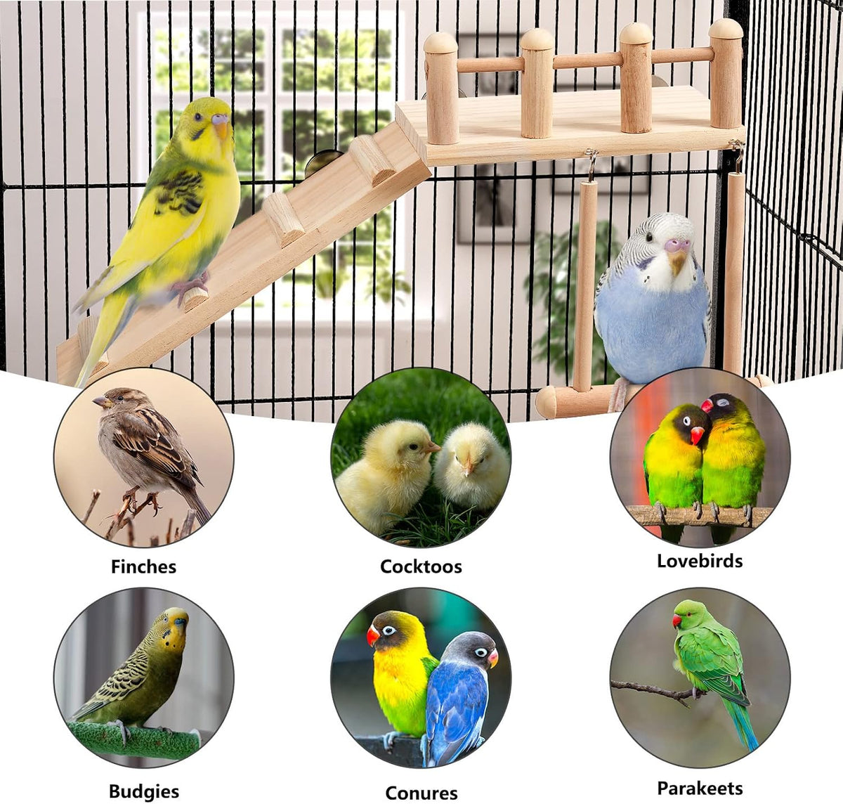 FrgKbTm Bird Perches Platform Swing with Climbing Ladder, Parakeet Cage Accessories Wooden Playing Gyms Exercise Sturdy for Small Birds - Image 4