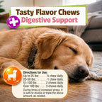 Pet Naturals imported USA dog supplement for thunderstorm and fireworks stress reduction