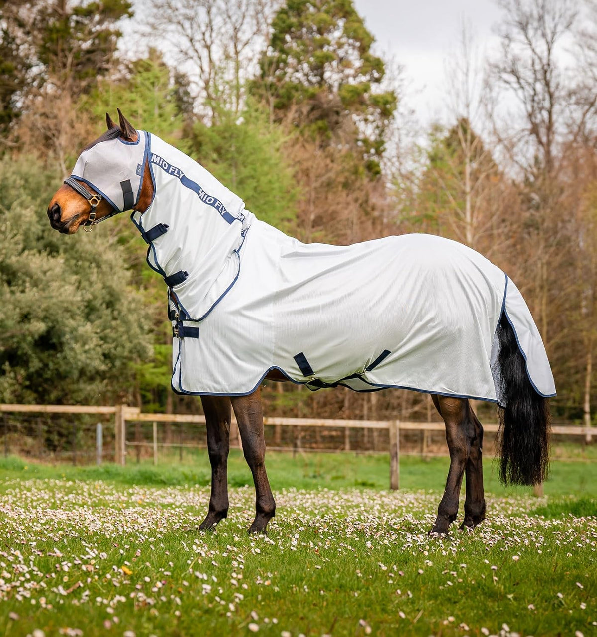 Horseware Mio Fly Sheet front view showing integrated neck and chest closure