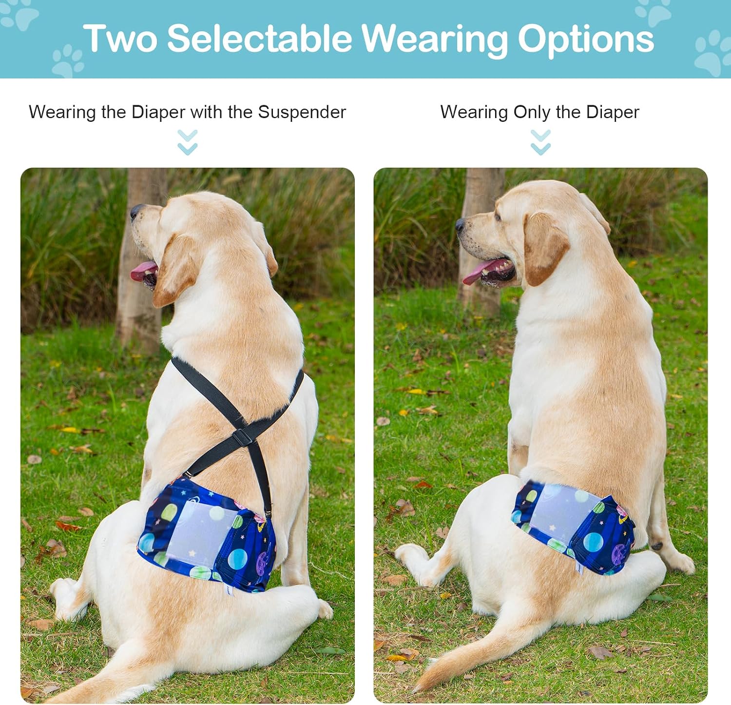 Avont cosmos theme male dog nappies size medium pack of three
