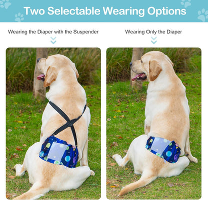 Avont cosmos theme male dog nappies size medium pack of three