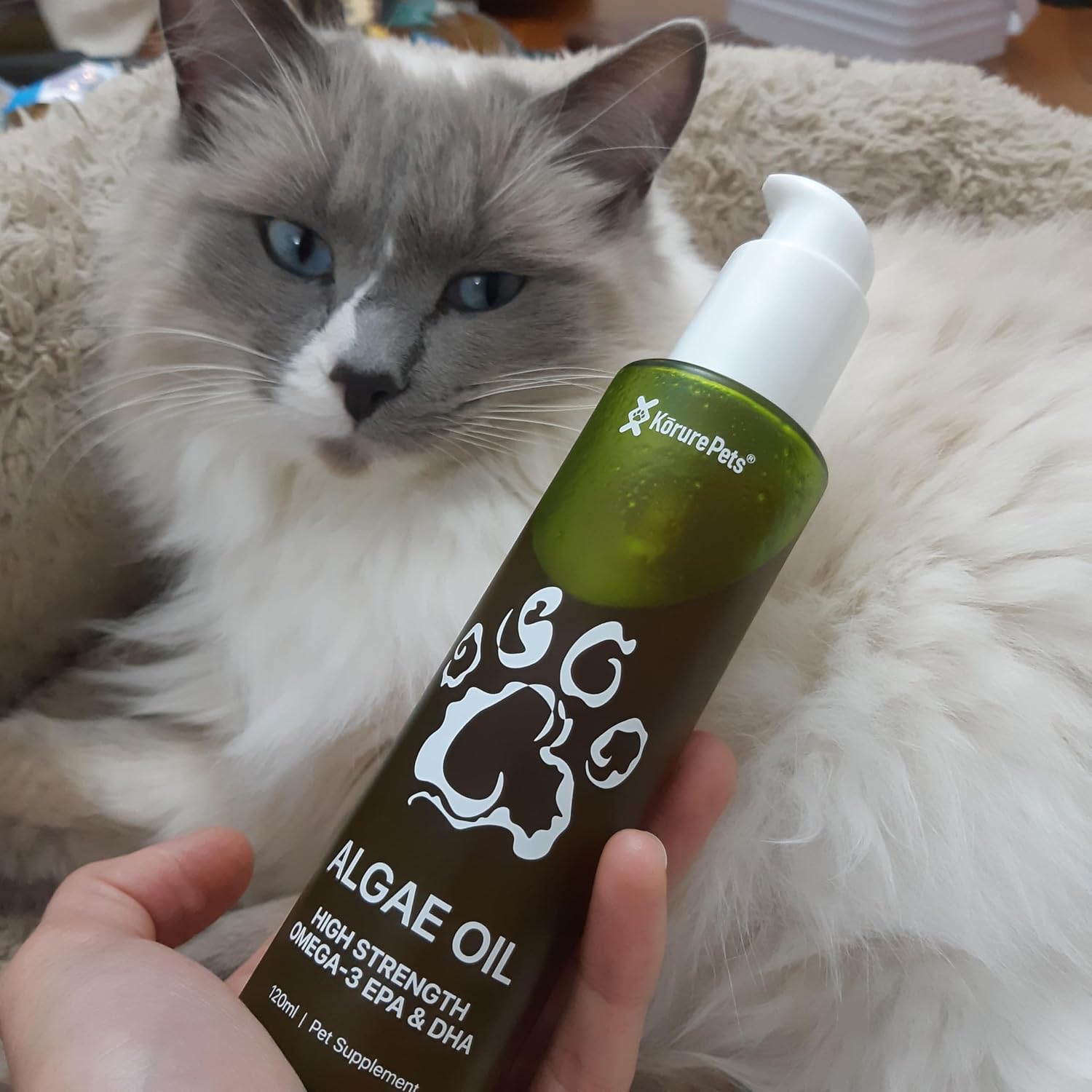 Pure EPA and DHA feline joint support oil showing easy application pump