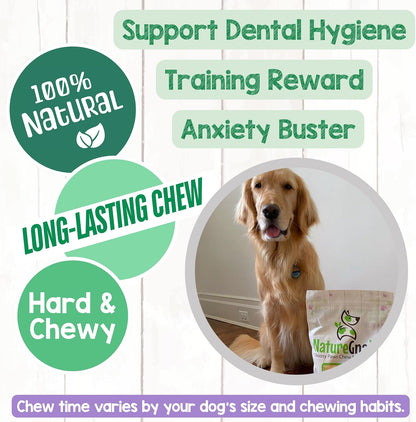 Nature Gnaws rawhide free beef pizzle treats for large dogs