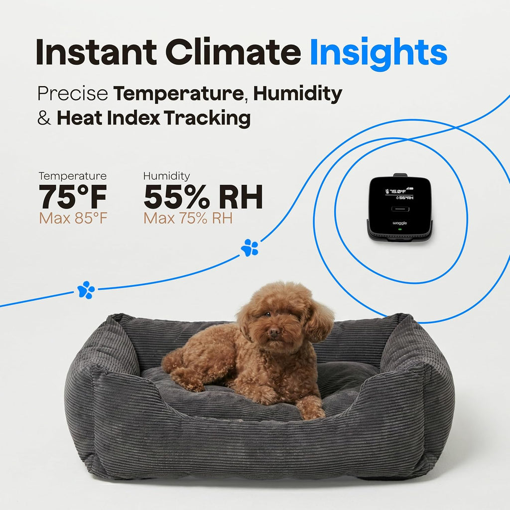 Waggle pet monitor displaying temperature and humidity
