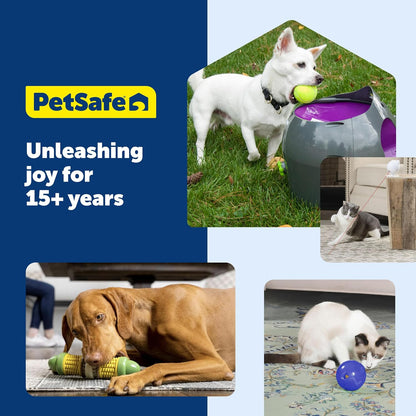 Authentic USA imported pet treat ring variety pack on a clean background.