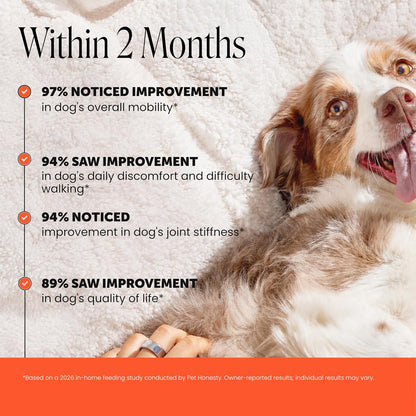 Pet Honesty Hip and Joint supplement ingredients label showing glucosamine and chondroitin
