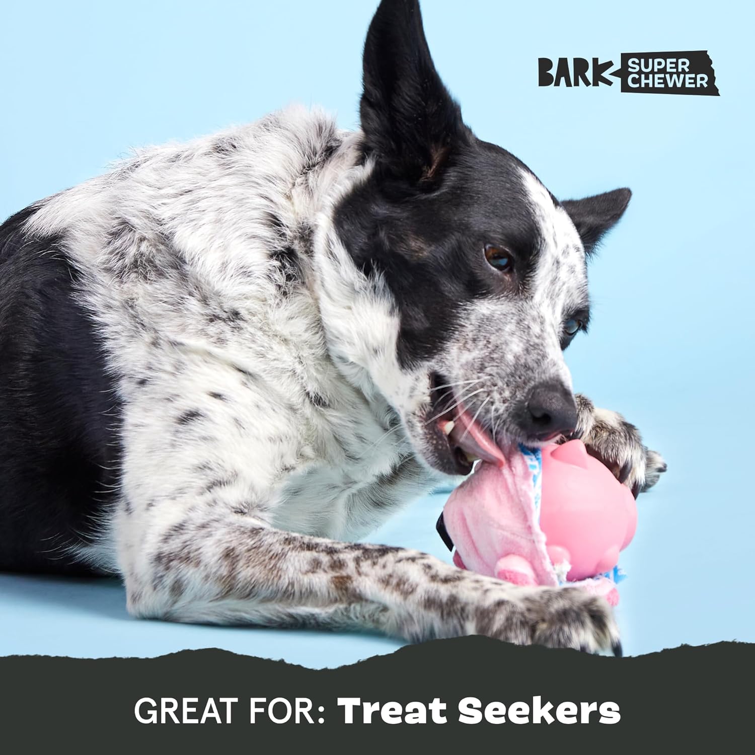 Close up of Barkbox Hambone durable rubber core