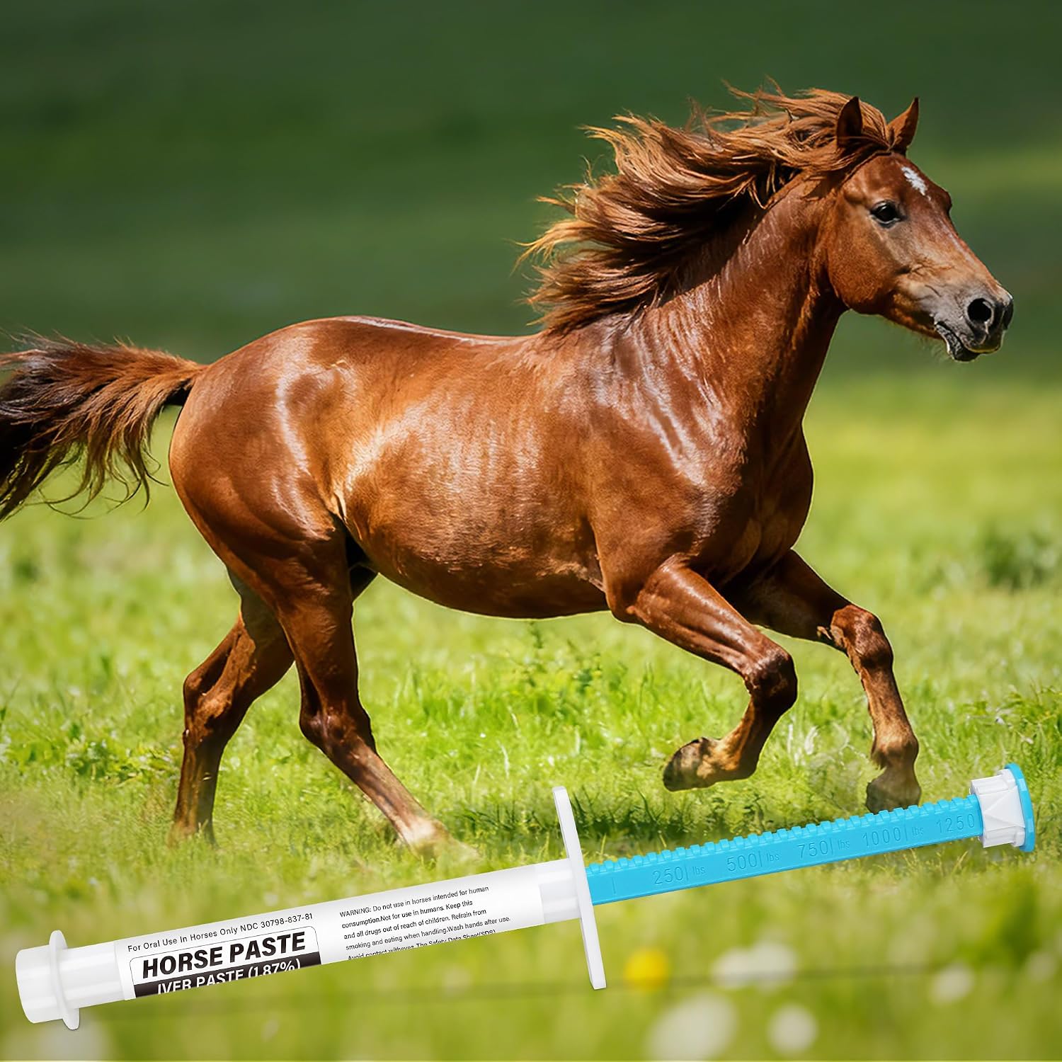 Side view of oral paste syringe for horses