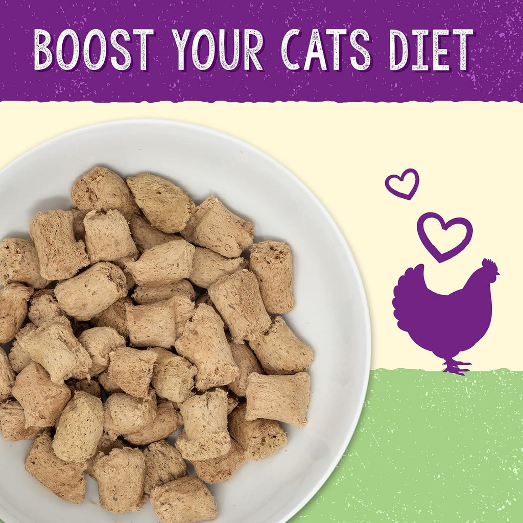 Close up view of freeze-dried raw cat food morsels texture