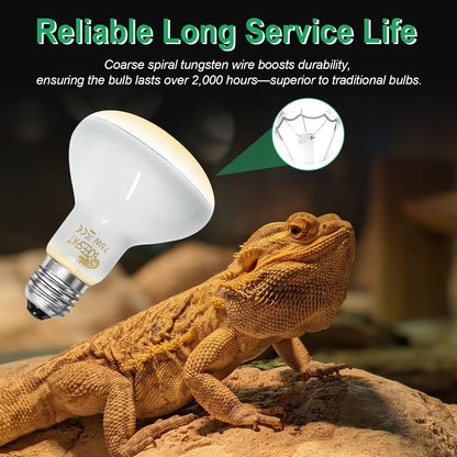 Reflector spotlight bulb showing standard screw base for terrariums