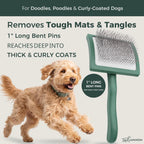 Large curved dog slicker brush showing extra long stainless steel pins for detangling.