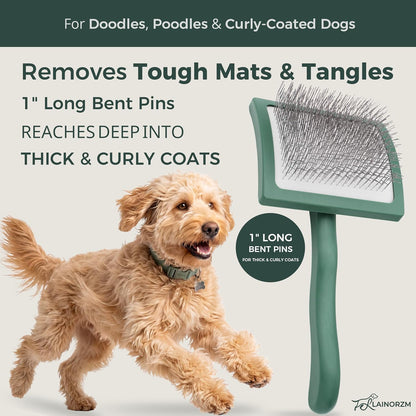 Large curved dog slicker brush showing extra long stainless steel pins for detangling.