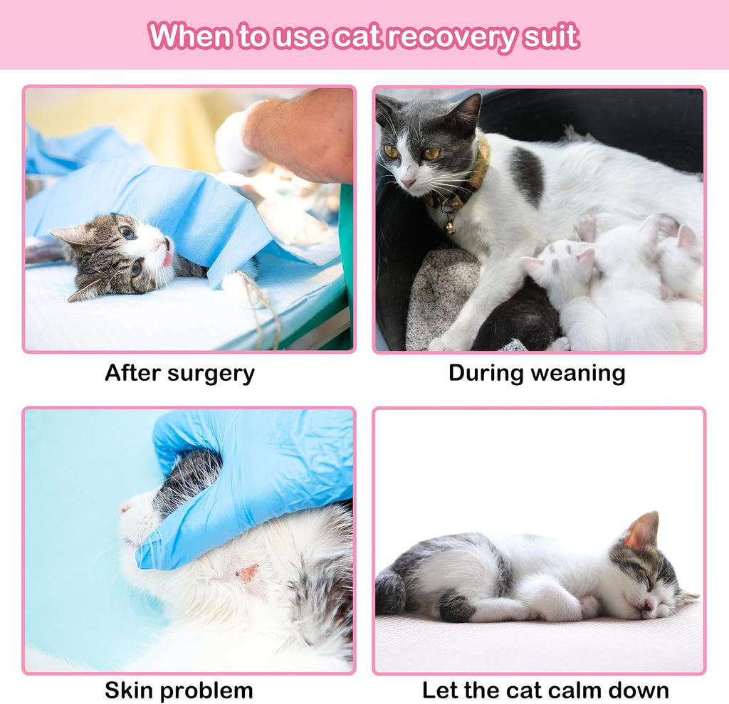 Close up view of the elastic fabric on the PUMYPOREITY cat recovery clothing