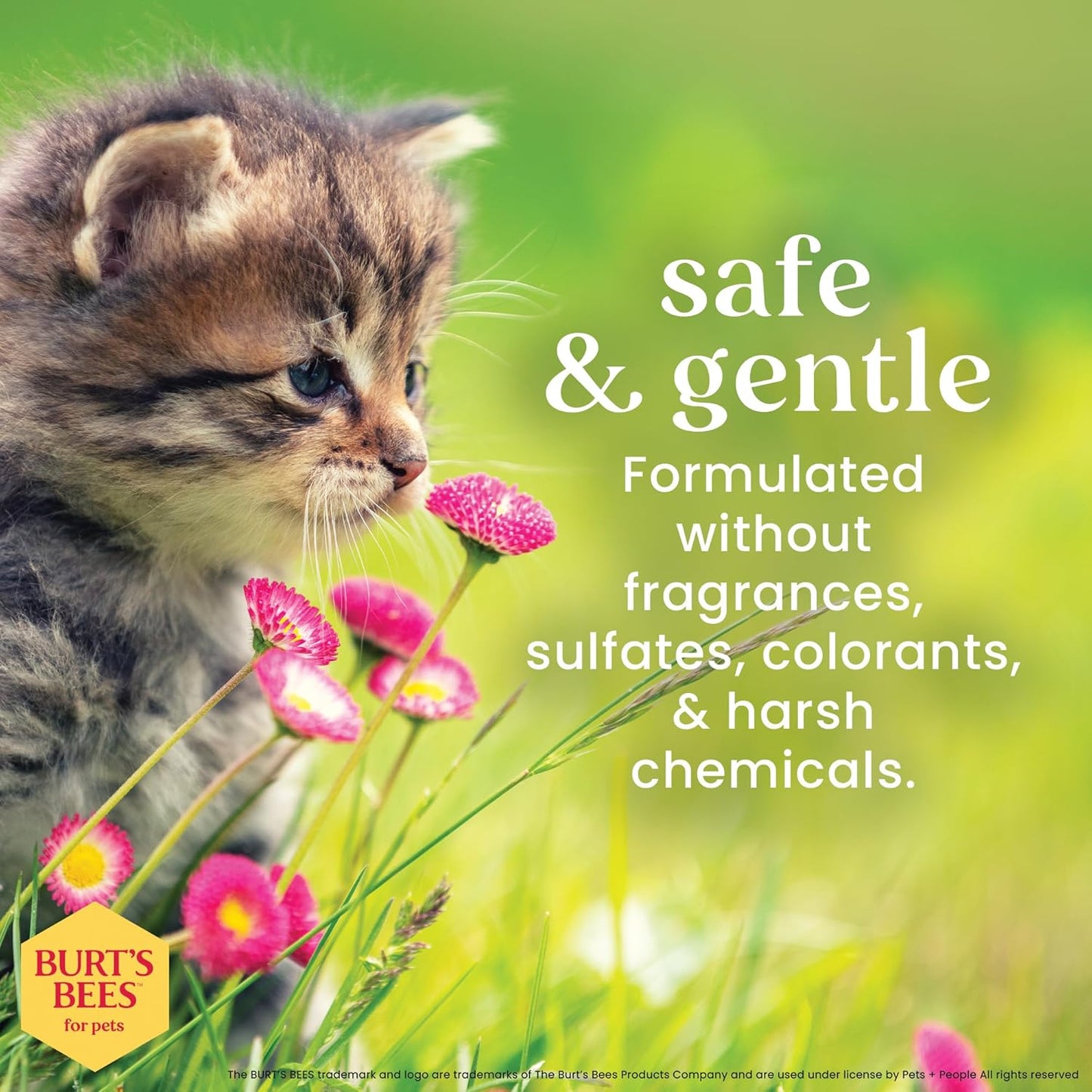 pH balanced cruelty-free cat wipes with wheat germ oil and honey