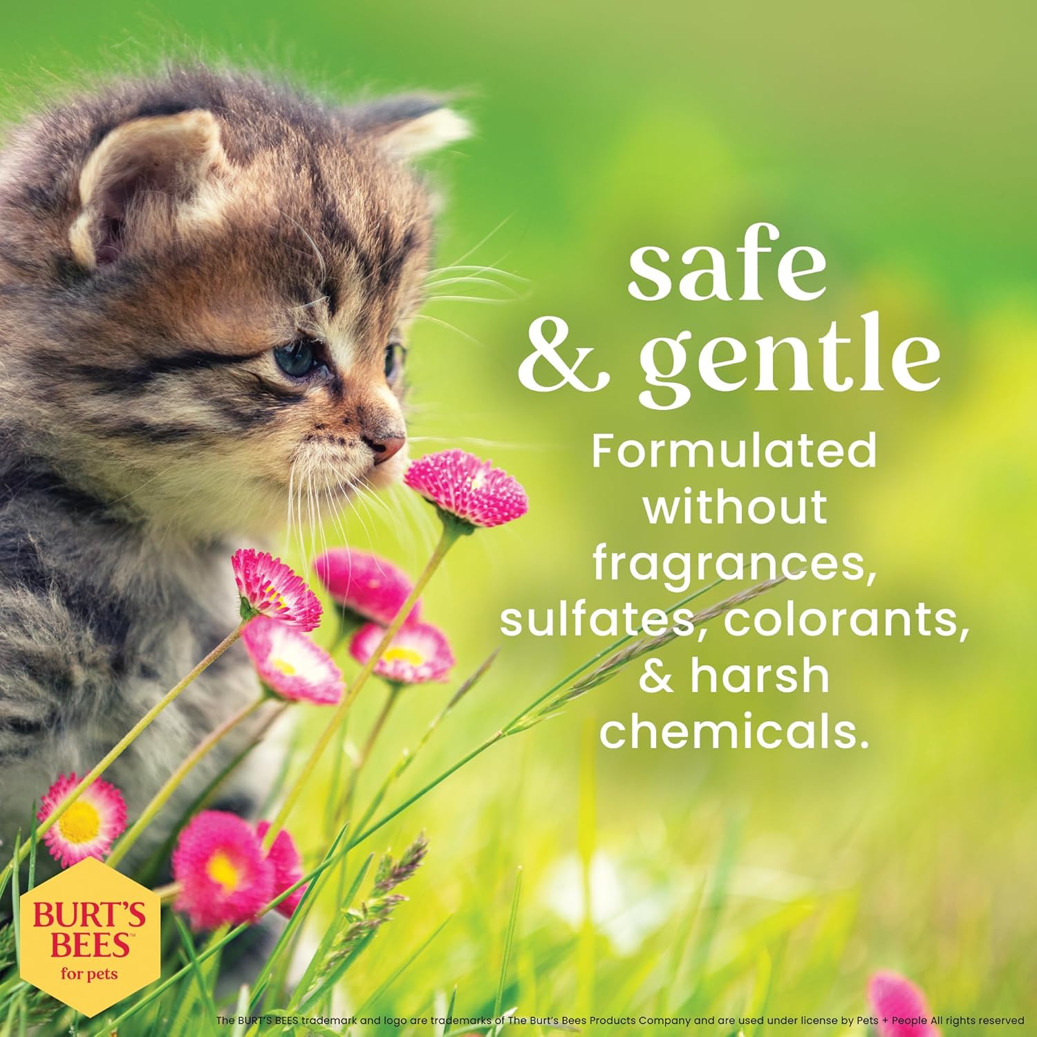 pH balanced cruelty-free cat wipes with wheat germ oil and honey