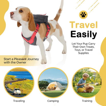 Adjustable buckles on Moysoon dog harness for perfect fit