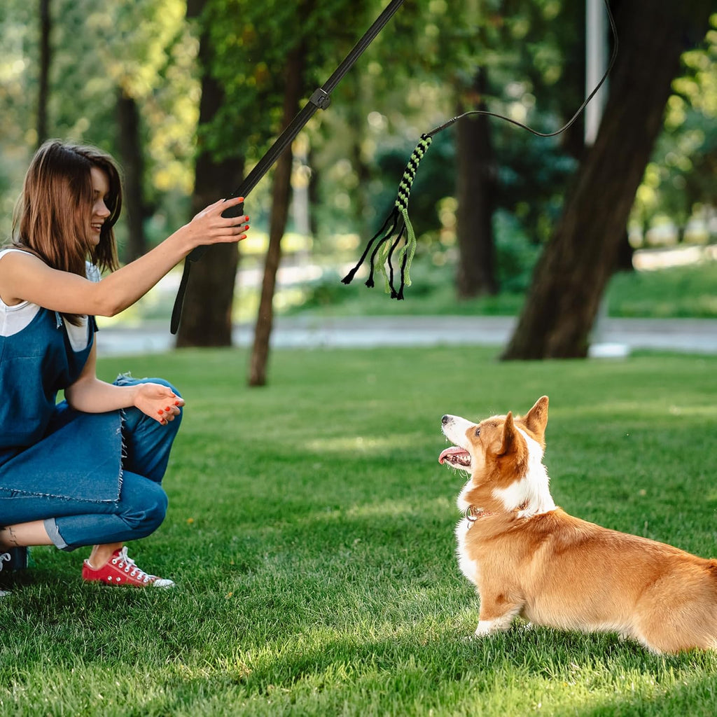Gretmix pet exercise equipment pack including replacement ropes and carrying bag
