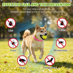 Dog wearing pink Monipgu tick collar outdoors