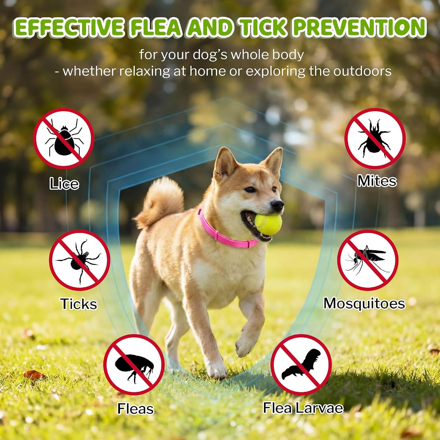 Dog wearing pink Monipgu tick collar outdoors