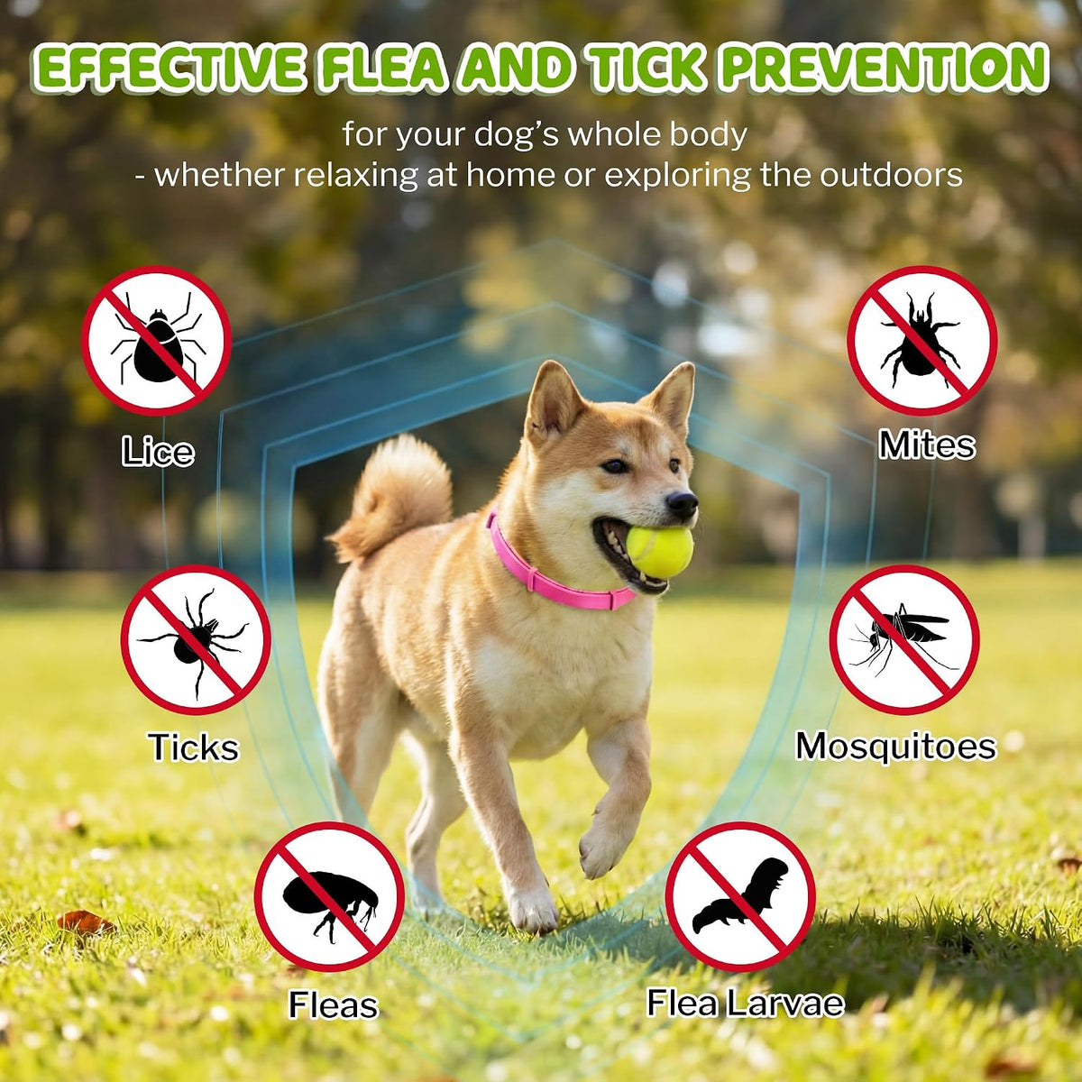 Dog wearing pink Monipgu tick collar outdoors