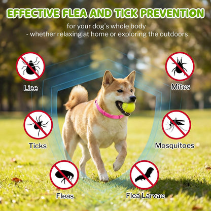Dog wearing pink Monipgu tick collar outdoors