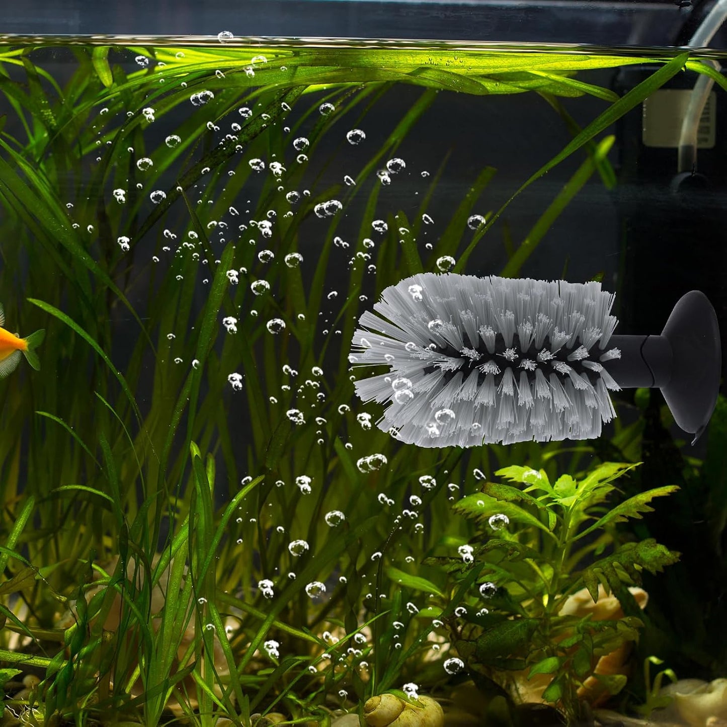 BOXOB aquatic tank accessory brush attached securely via suction cup to a smooth surface.