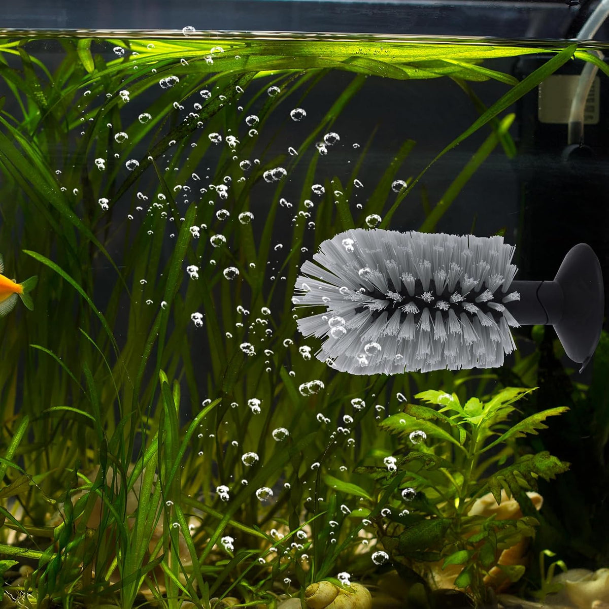 BOXOB aquatic tank accessory brush attached securely via suction cup to a smooth surface.