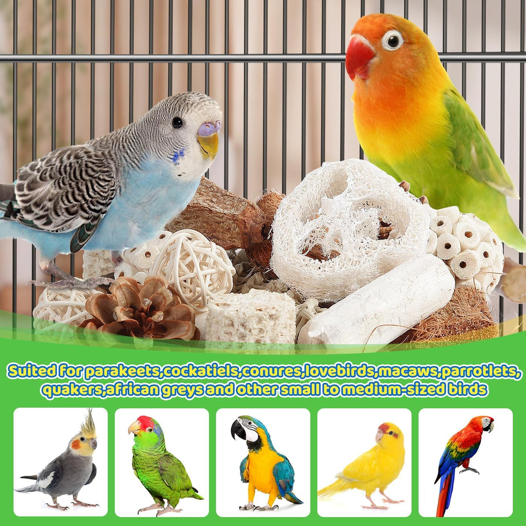 Medium bird foraging box showing coconut shells and loofahs