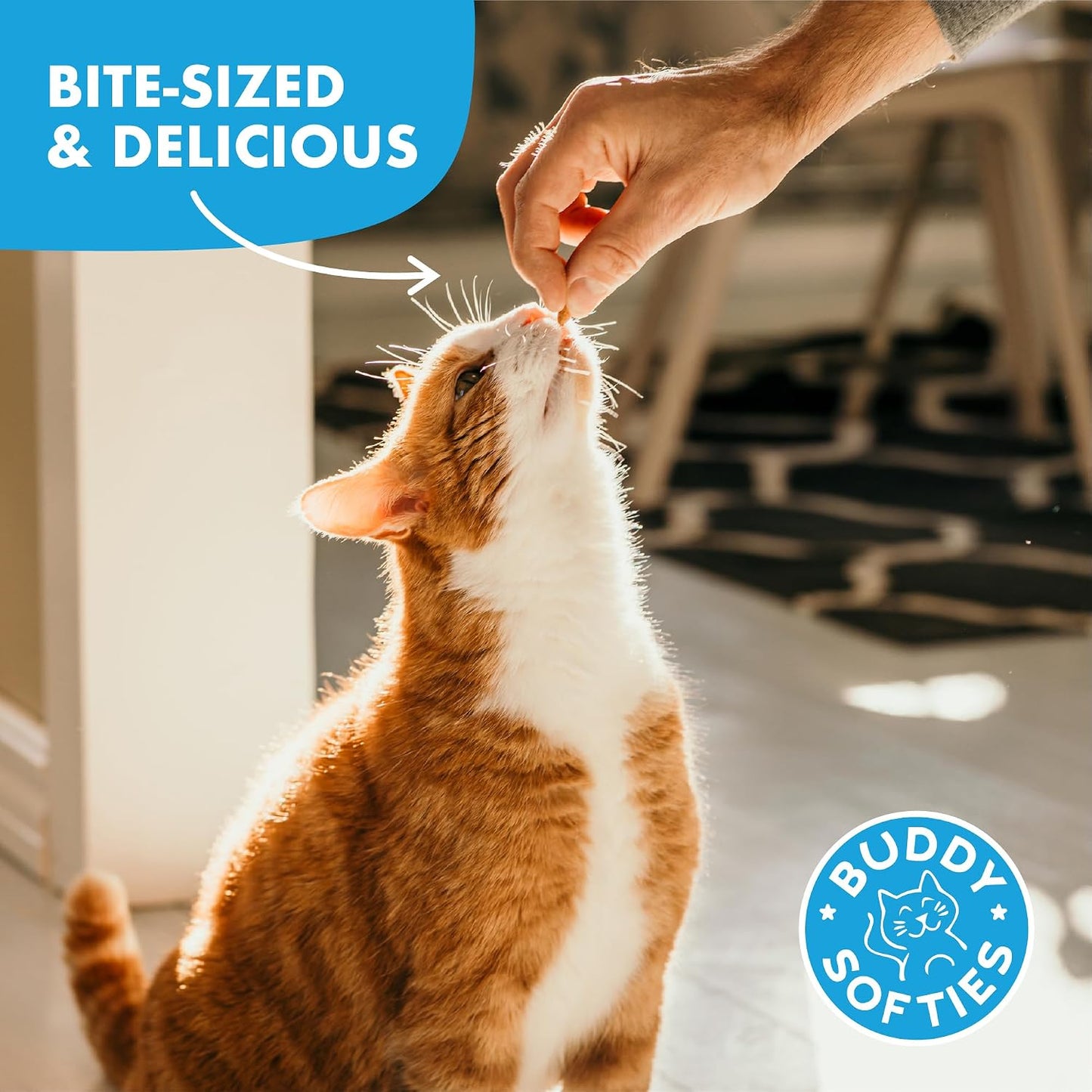 Hand holding Buddy Biscuits grain free cat treat snack