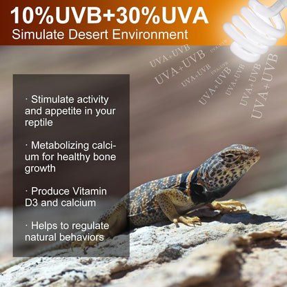 Jugbuy desert reptile UV light bulb twin pack packaging graphic.