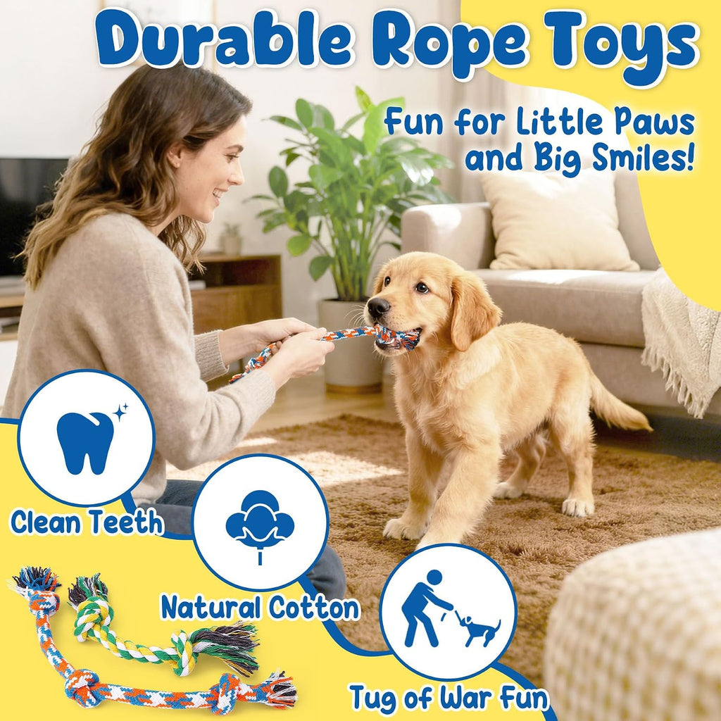 Interactive treat dispensing ball and squeaker toys included in the KIPRITII pet pack