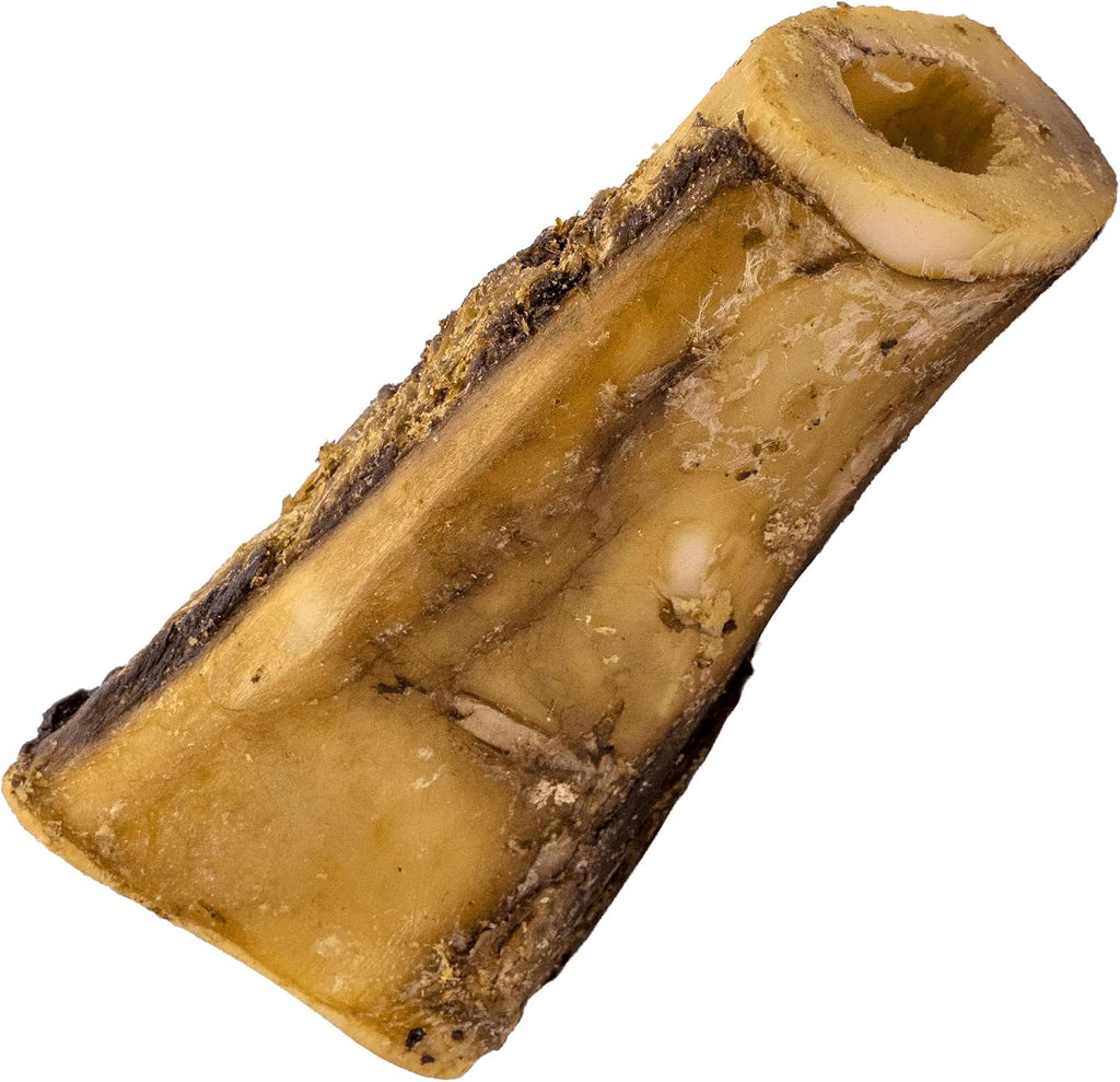 Nature's Logic 7 to 8 inch large beef bone chew close up marrow view
