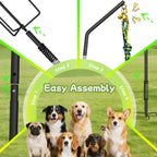 Energetic golden retriever playing safely with the outdoor tether tug system on a lawn.