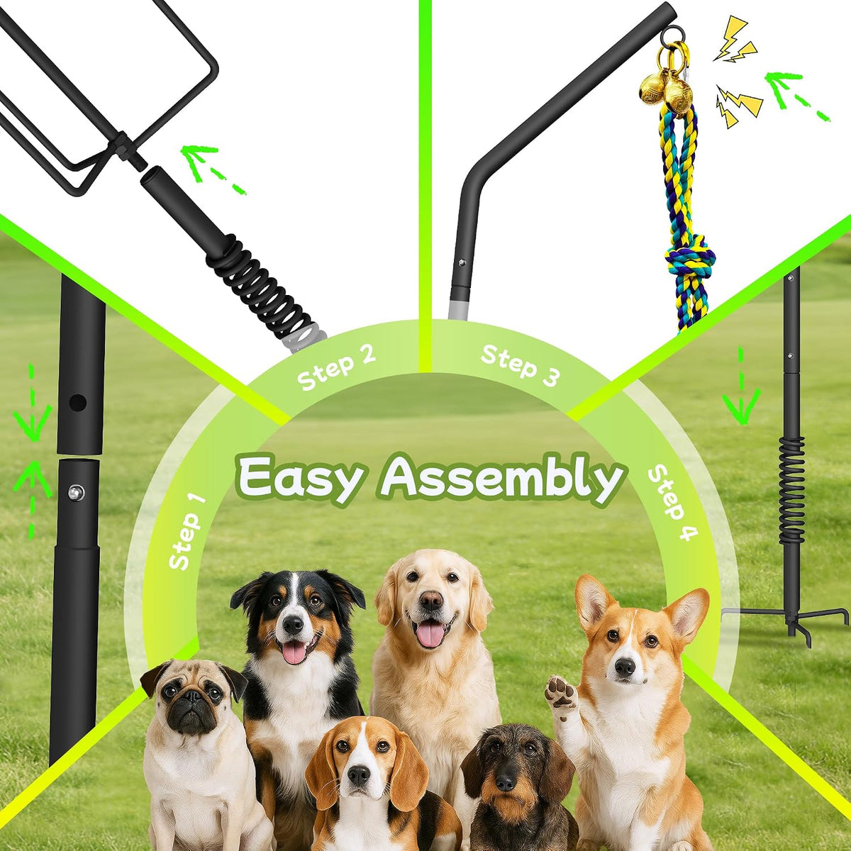 Energetic golden retriever playing safely with the outdoor tether tug system on a lawn.