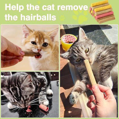 Cat enjoying Fchowwn dental chew stick snack
