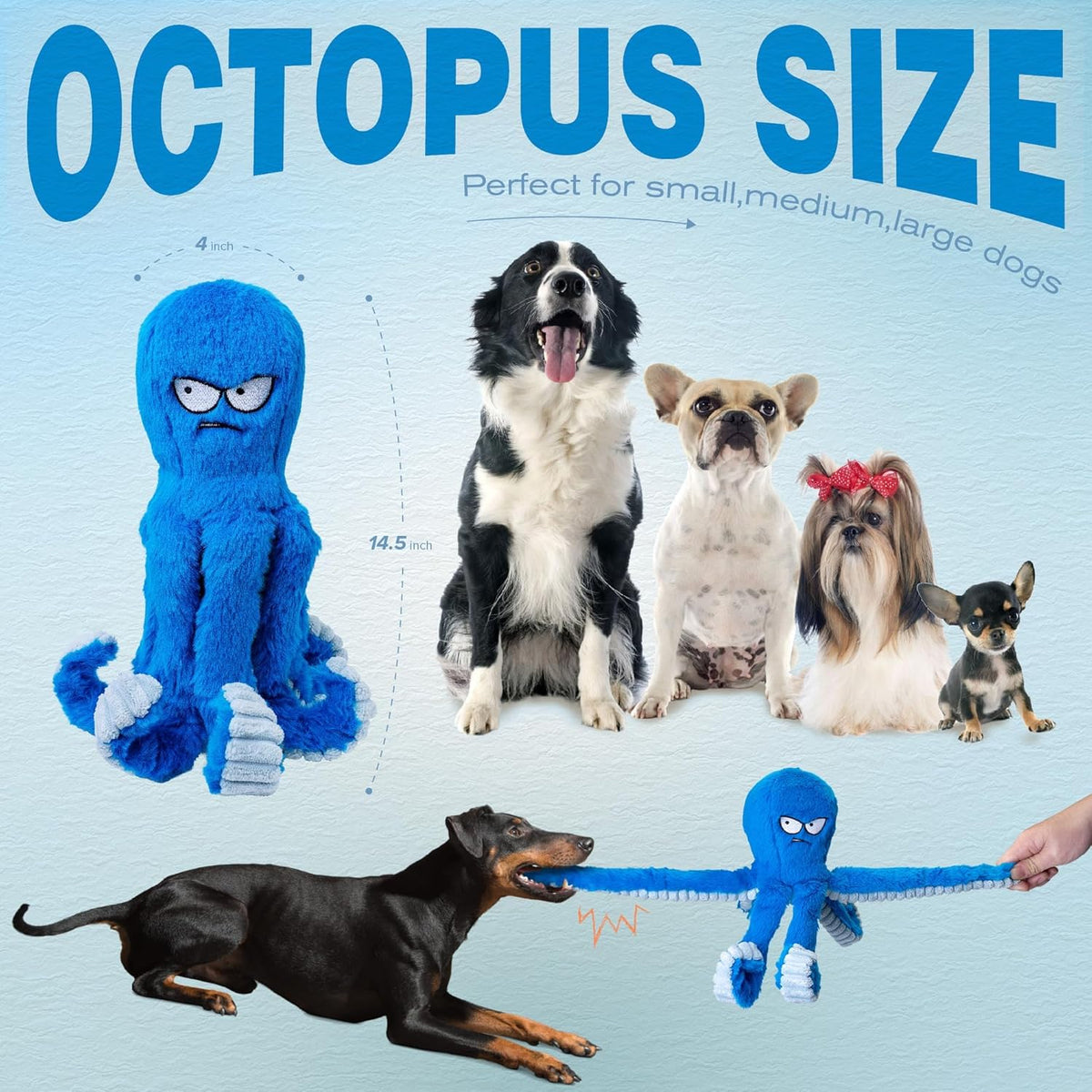 LEGEND SANDY heavy duty natural cotton pet toy being used for a family tug of war game