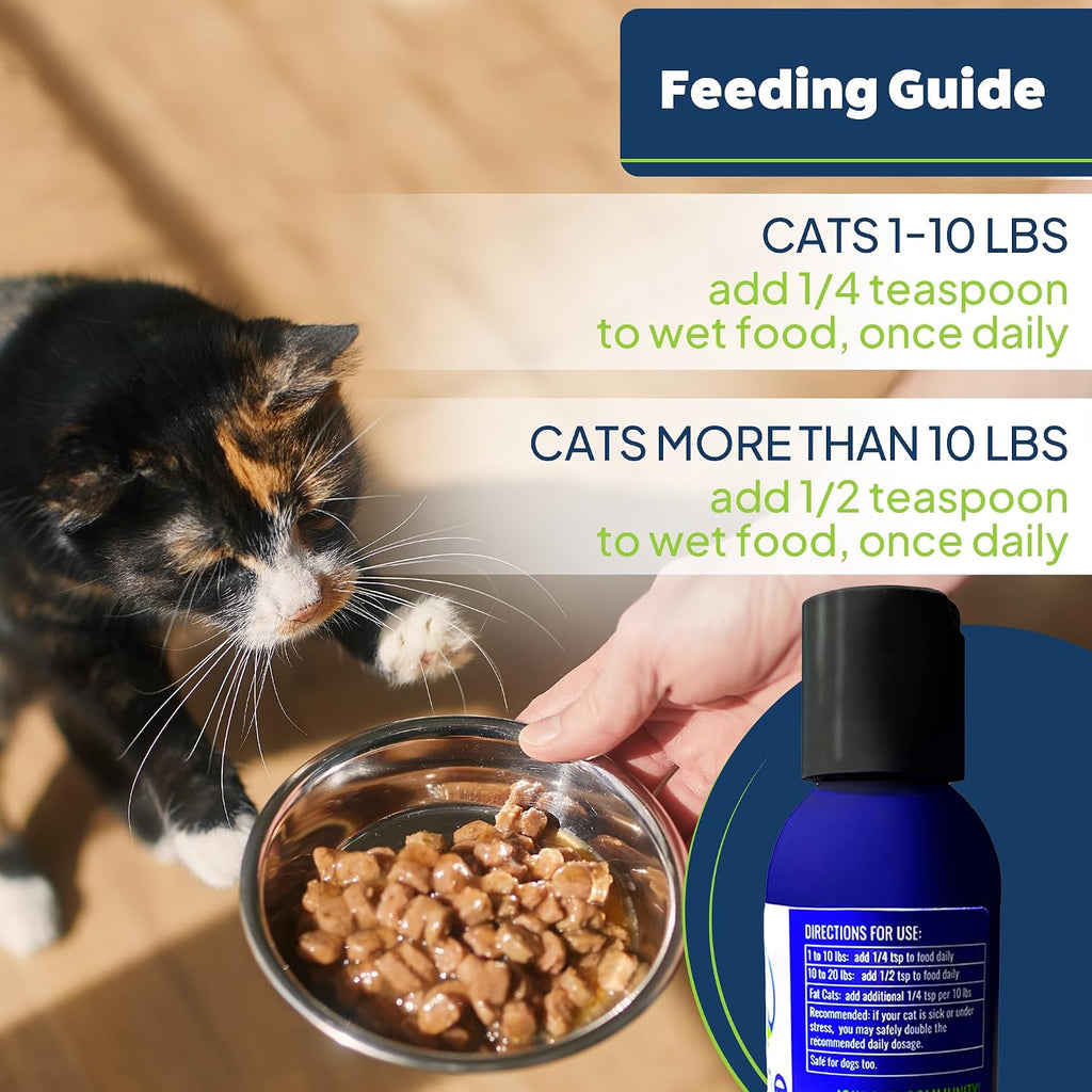 Cat digestive enzyme liquid drops being measured with a teaspoon