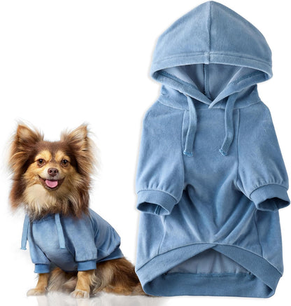 Pet Passion Cooper II Organic Cotton Velour Dog Hoodie Pet Coat for Small, Medium and Large Dogs, Navy, Medium - Image 11