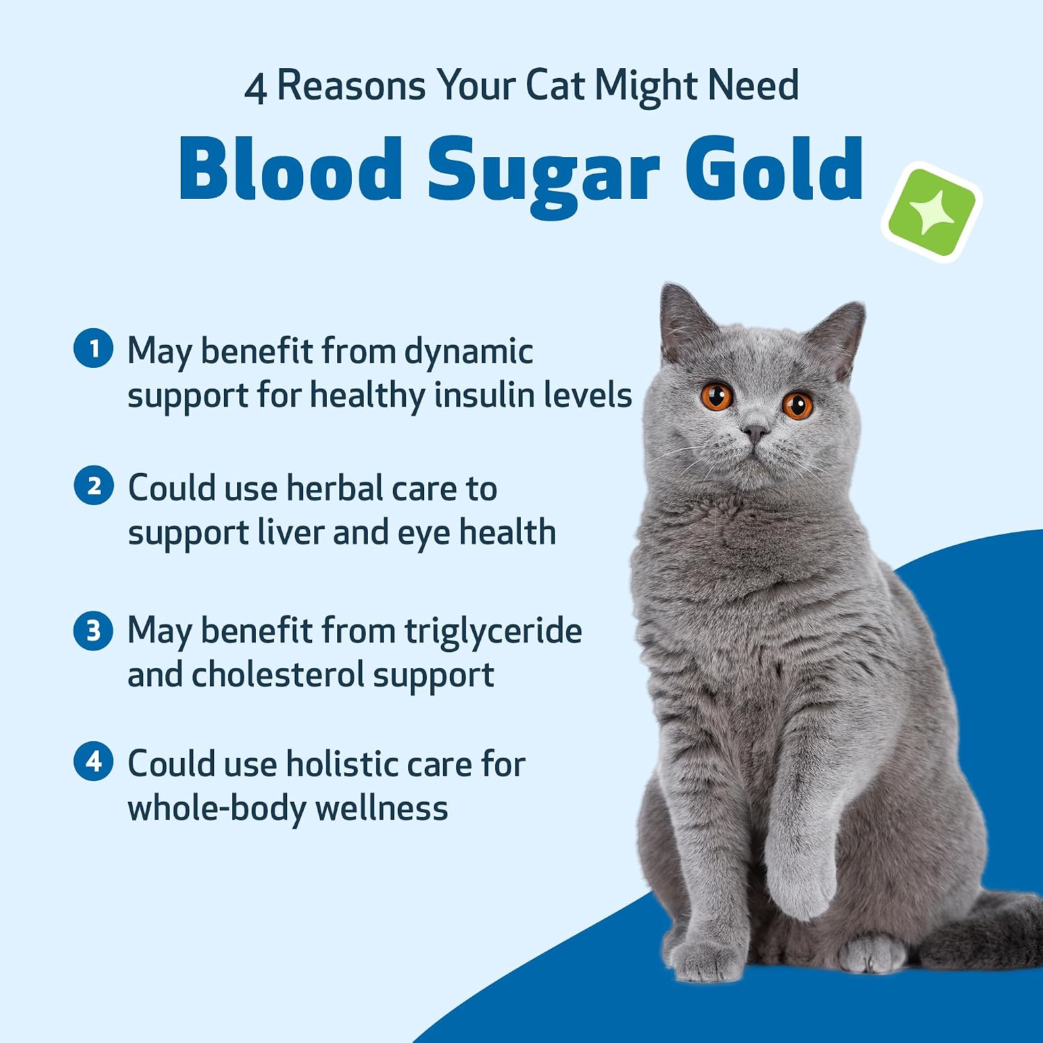 Pet Wellbeing Blood Sugar Gold for Cats - Holistic Support for Healthy Blood Sugar Levels, Insulin Stabilization & Normal Pancreatic Function - NASC Certified & Vet-Formulated - 2 oz Liquid - Image 9