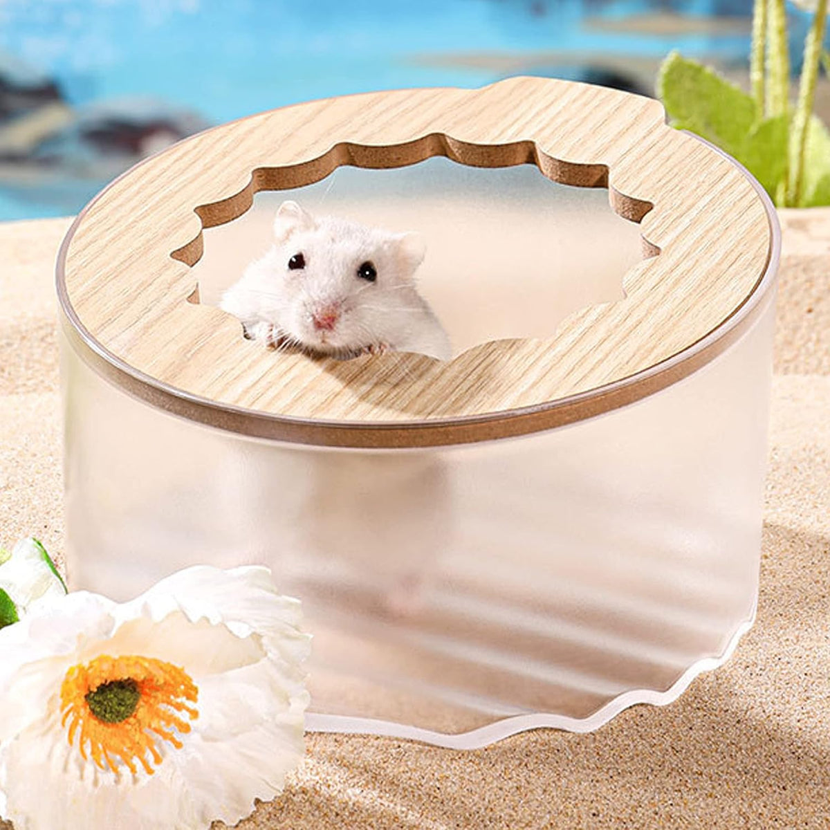 Wenriko hamster sand bath box front view showing transparent container and lid