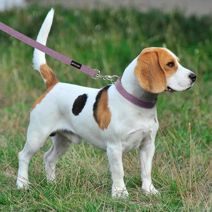 Side view of Plutus Pet heavy duty dog collar on pet