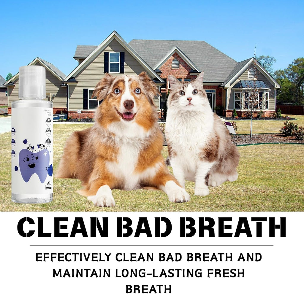 Authentic USA pet dental care water additive two bottle bundle