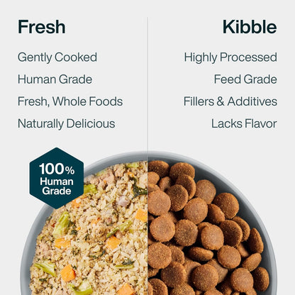 Premium shelf stable dog food case showing wholesome ingredients graphics
