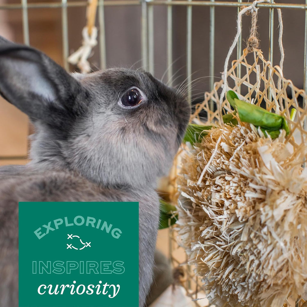Oxbow natural chew toy for hamsters and chinchillas