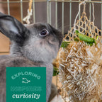 Oxbow natural chew toy for hamsters and chinchillas