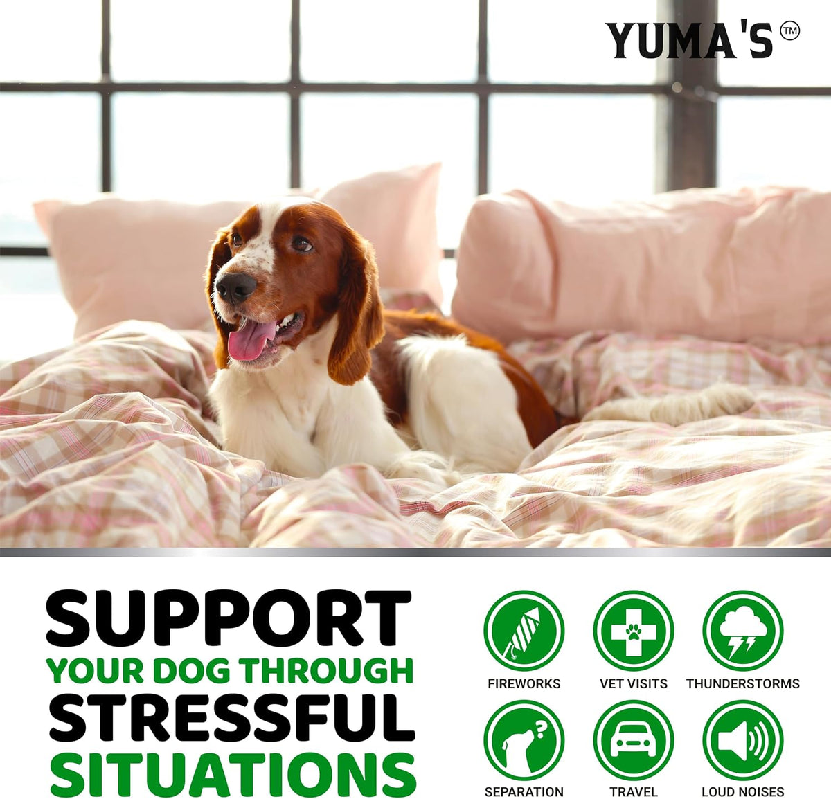 Yuma's advanced dog calming treats for separation anxiety relief