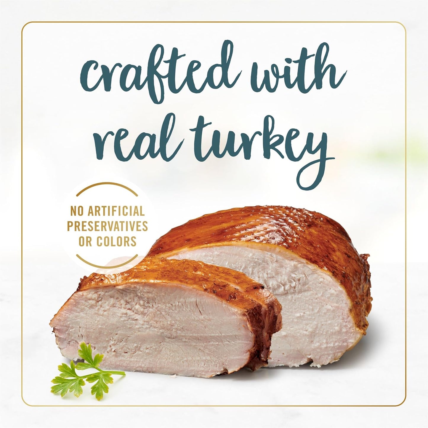 Close up of Purina Fancy Feast grilled turkey in savory gravy