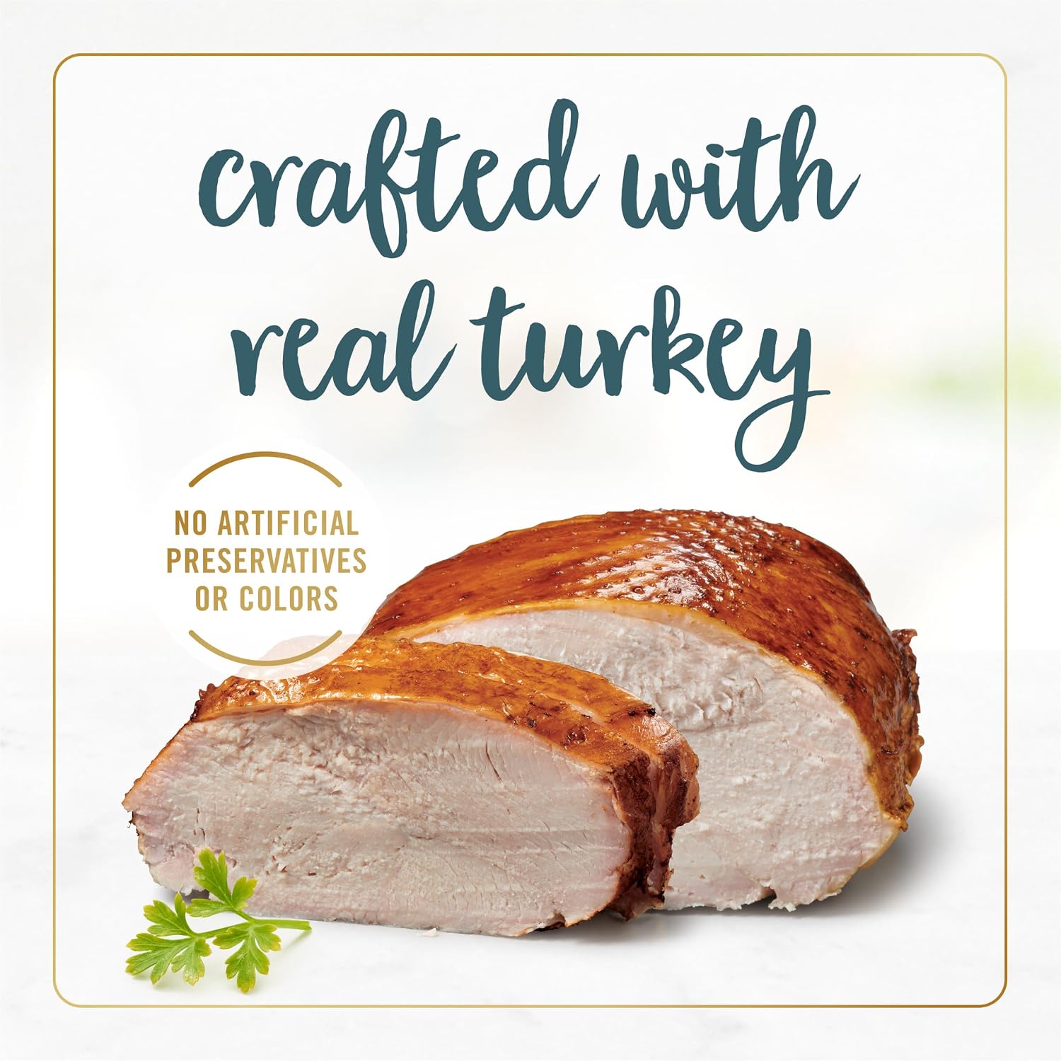 Close up of Purina Fancy Feast grilled turkey in savory gravy