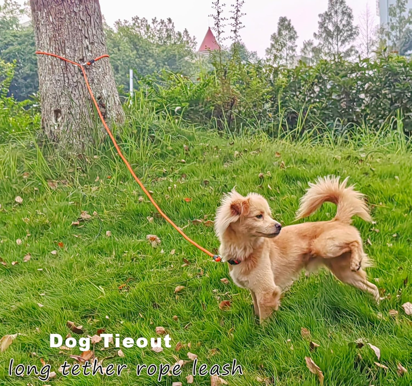 Multi-functional double dog walking leash setup showing both metal snaps.